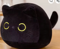 Black kitty cat